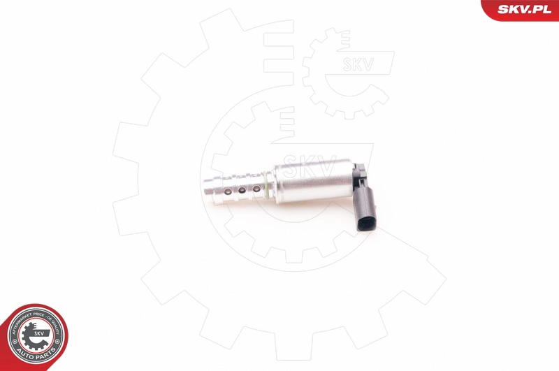 39SKV009