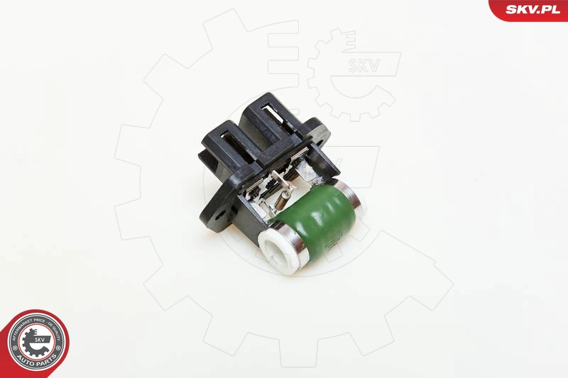 95SKV011