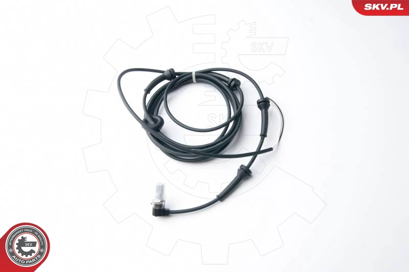 06SKV238