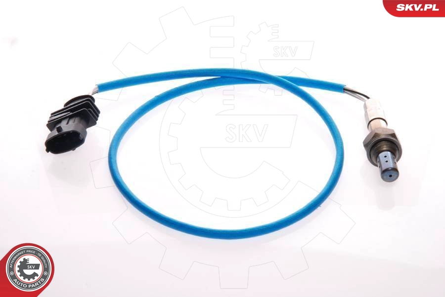 09SKV074