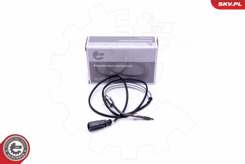 30SKV287