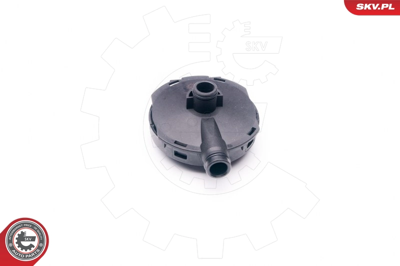 31SKV021