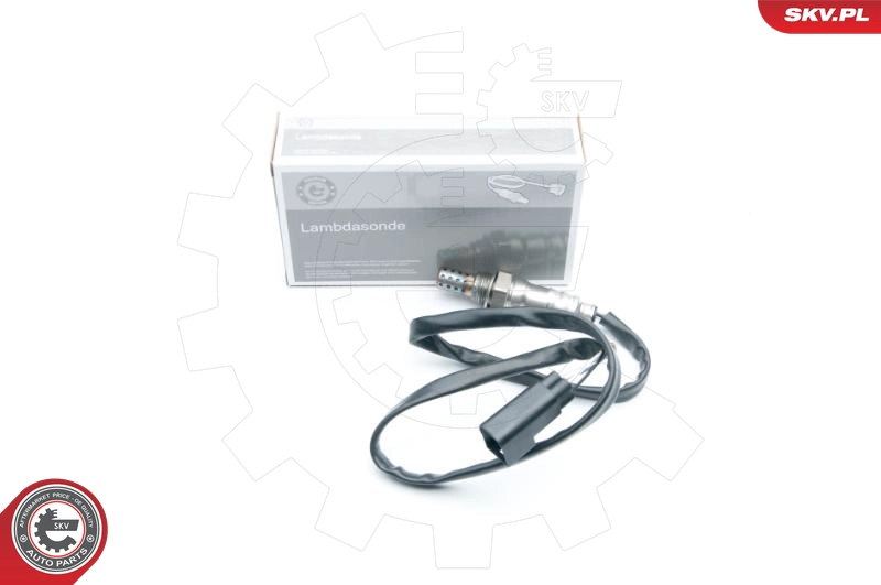 09SKV554