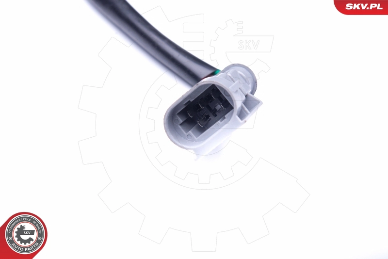 19SKV047
