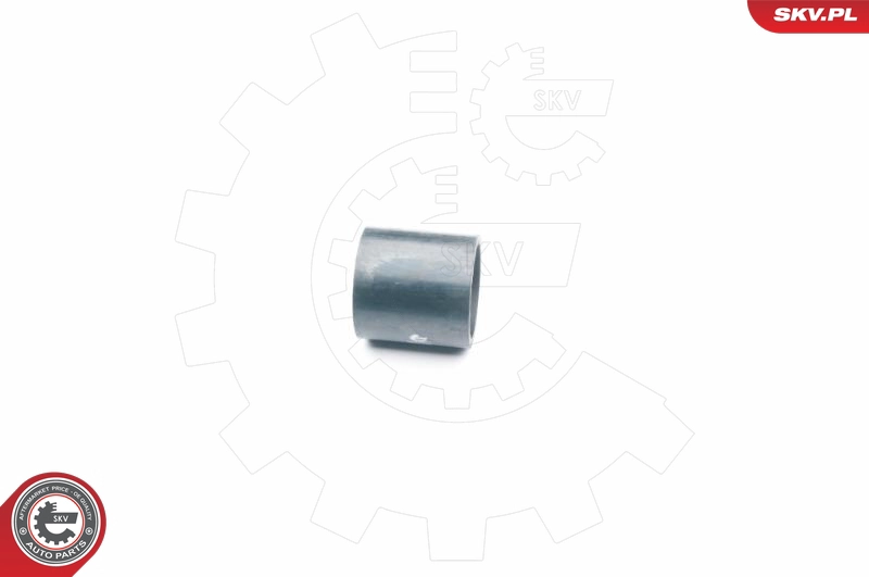 24SKV037