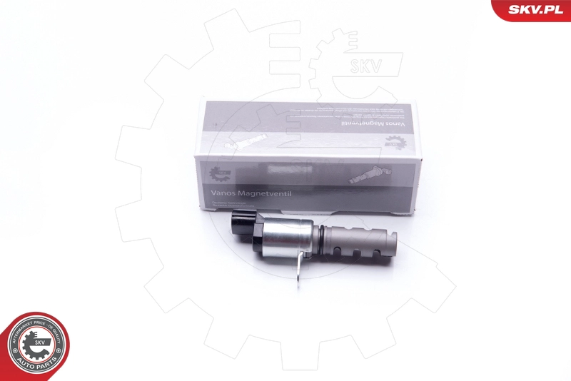39SKV041