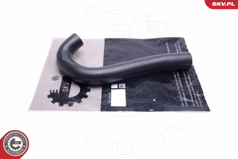 54SKV008