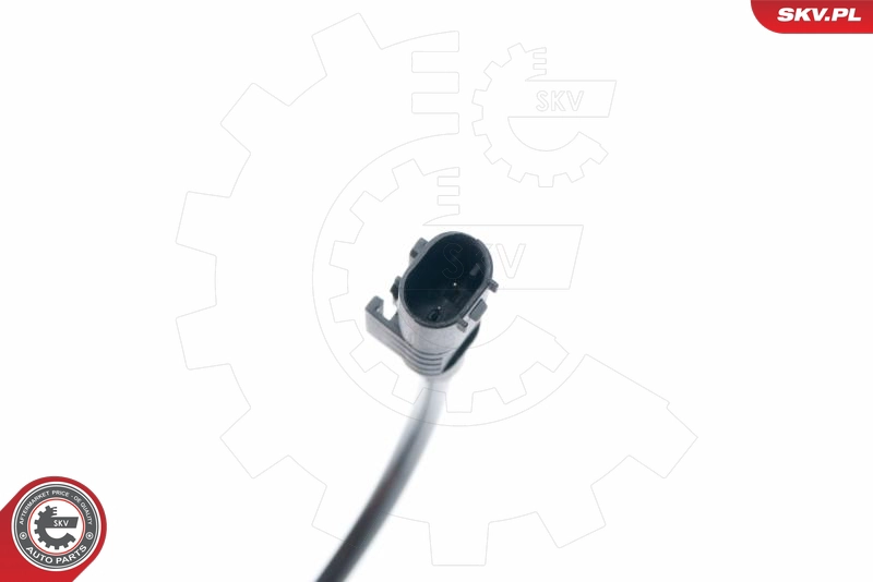 06SKV296