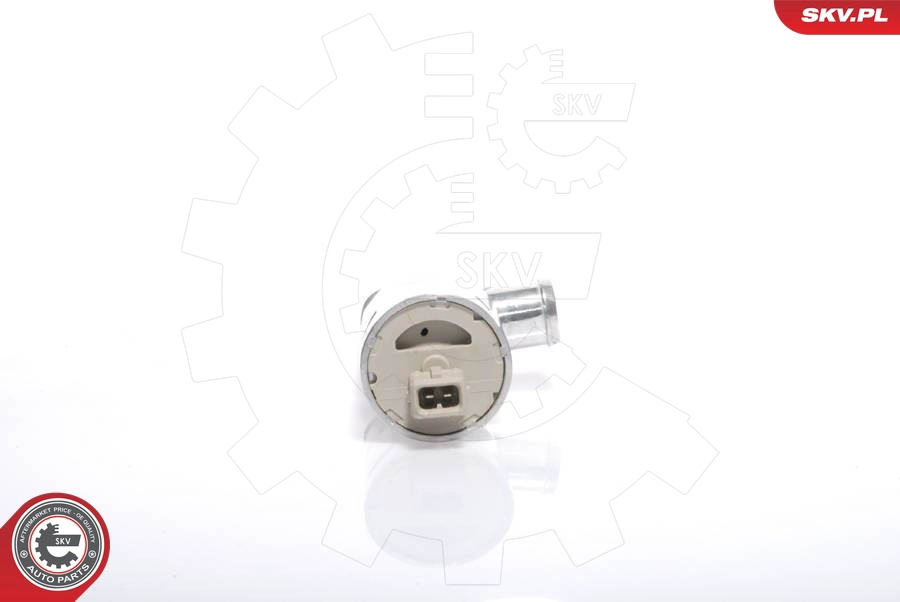 08SKV209