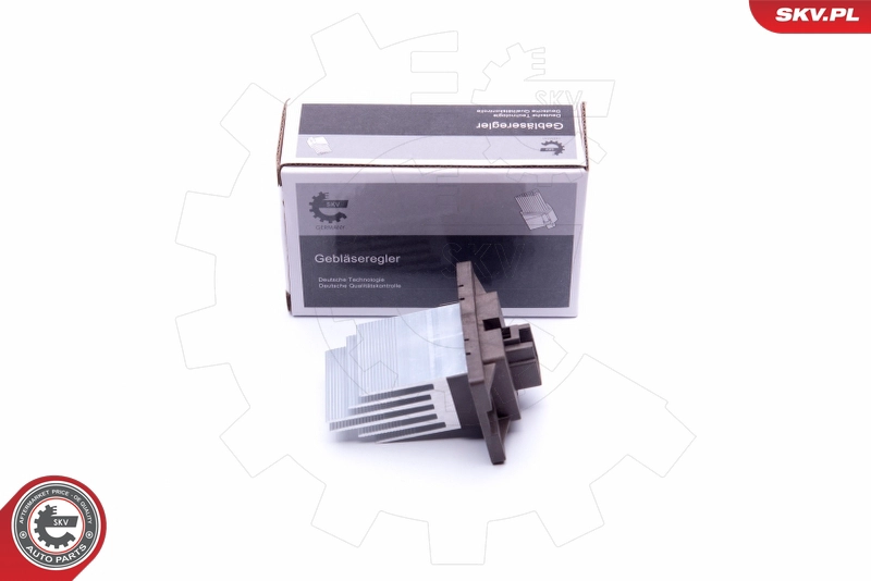 94SKV069