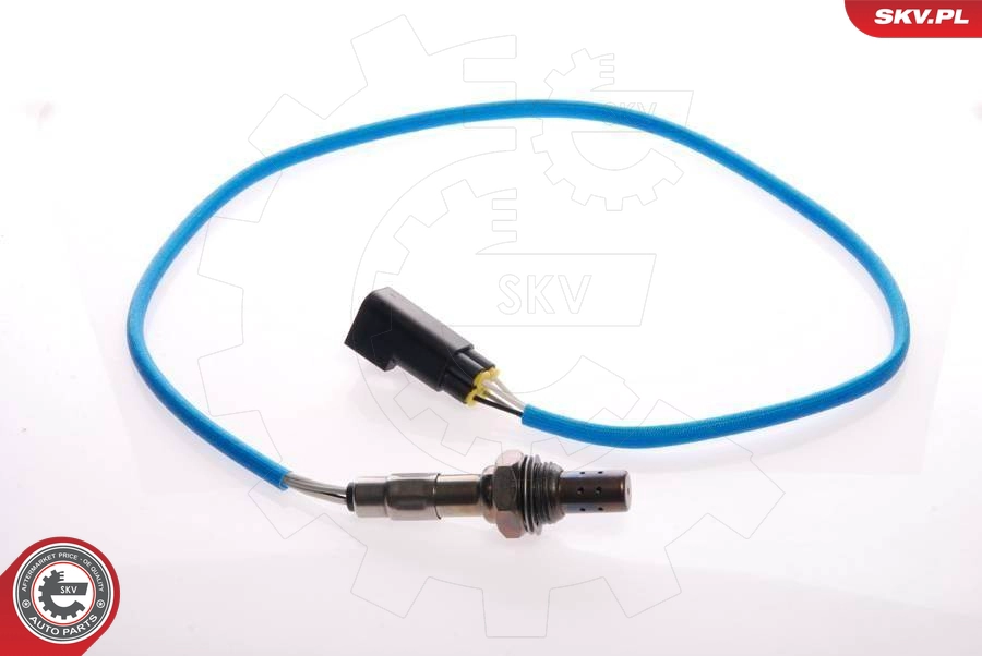 09SKV050