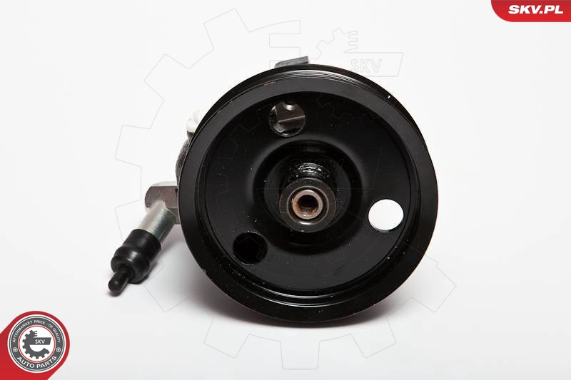 10SKV066