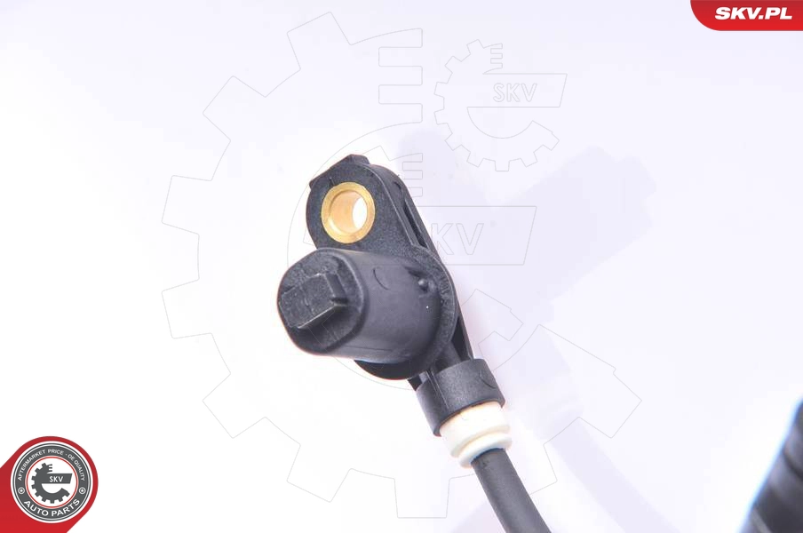 06SKV114