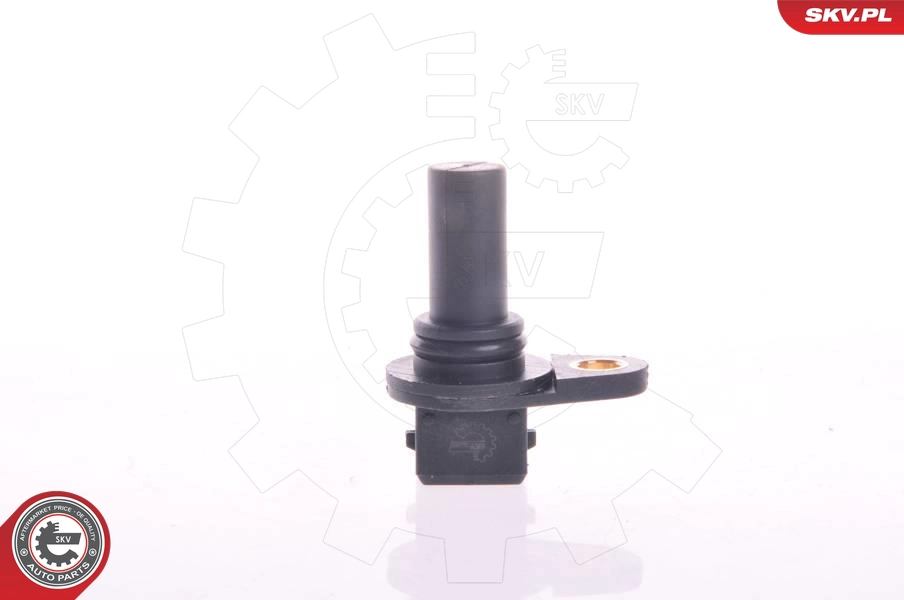 17SKV224