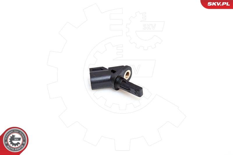 06SKV135