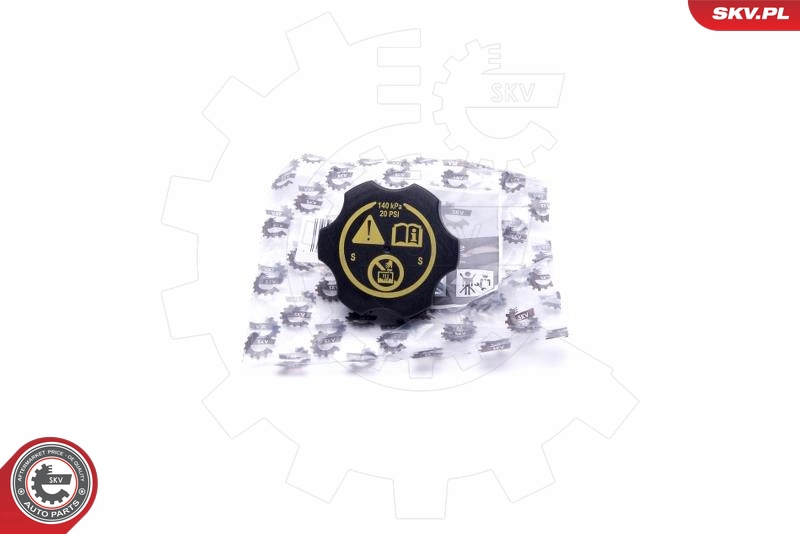 61SKV023