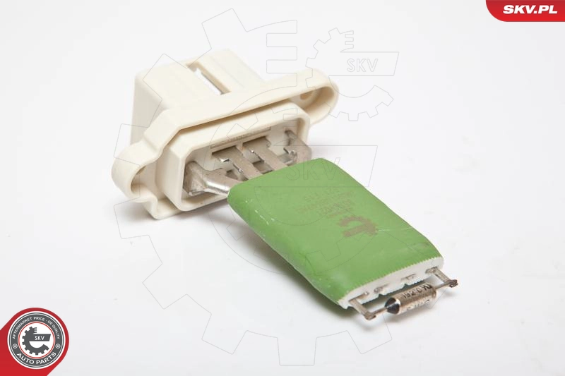 95SKV021