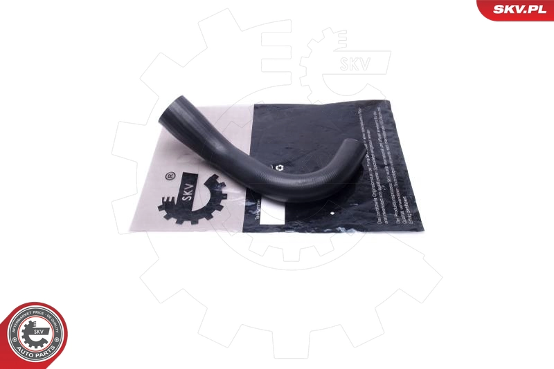 54SKV033