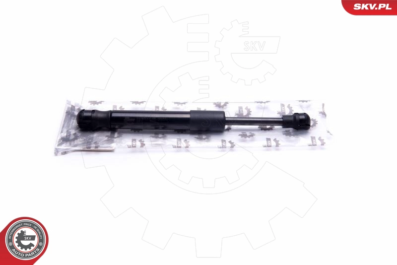 52SKV738