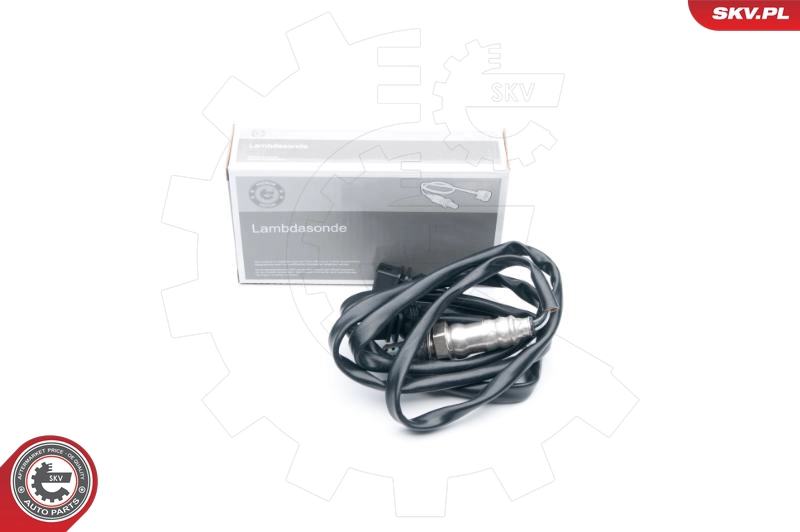 09SKV590