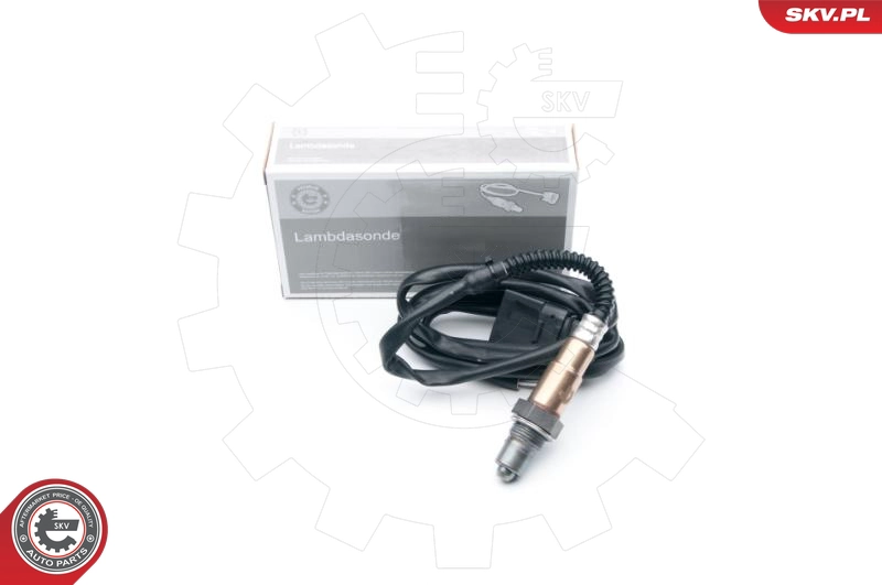 09SKV658
