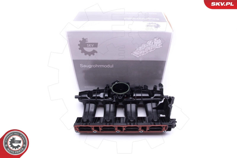 49SKV009