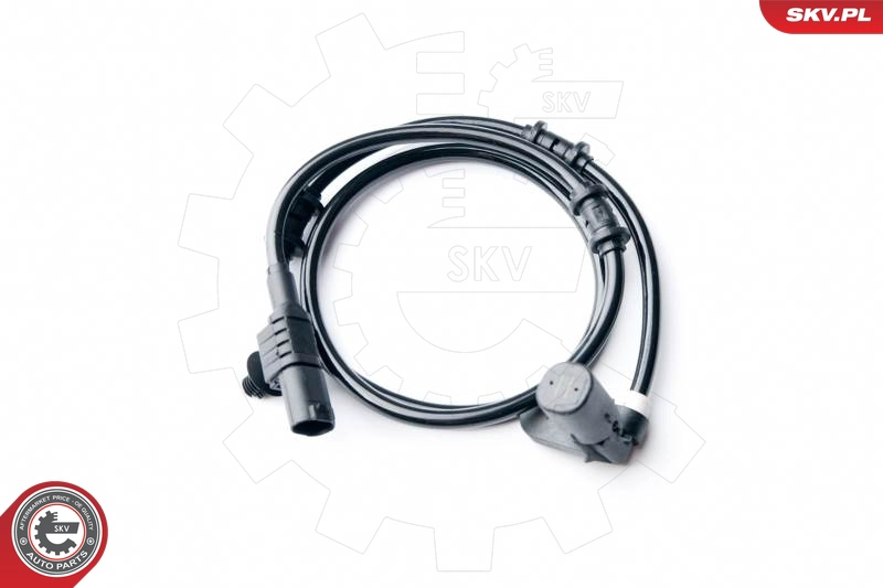 06SKV233
