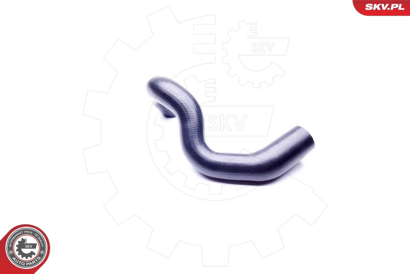 43SKV082