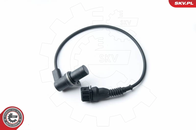17SKV239