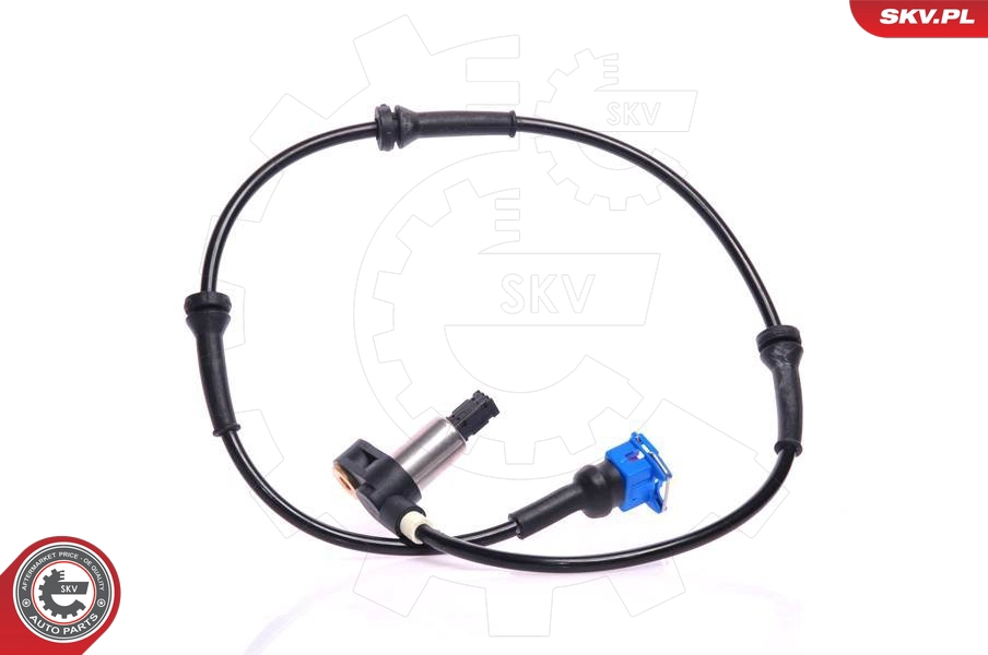 06SKV091