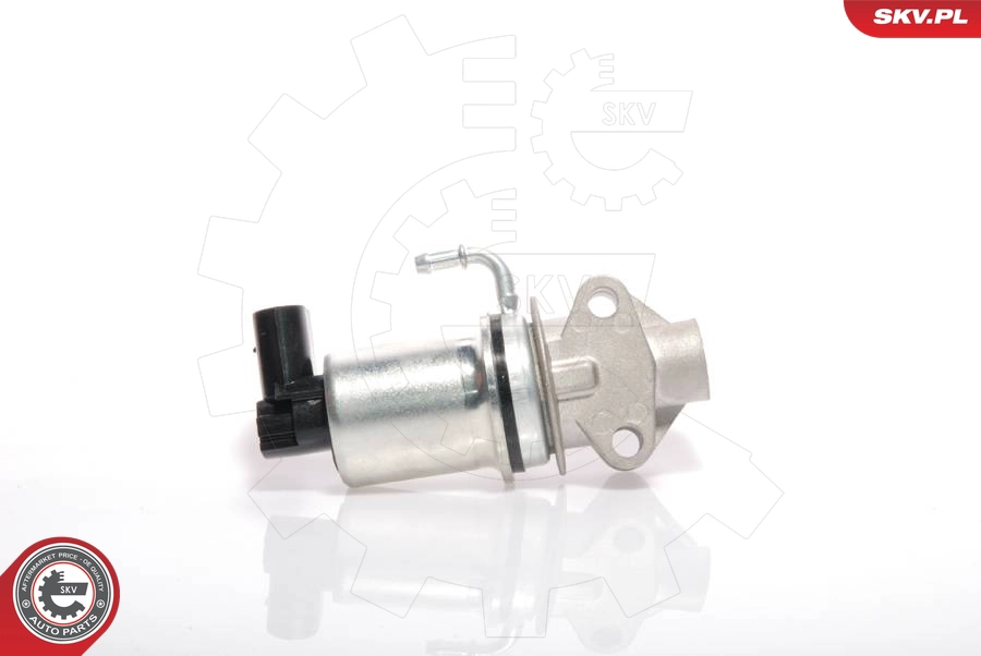 14SKV018