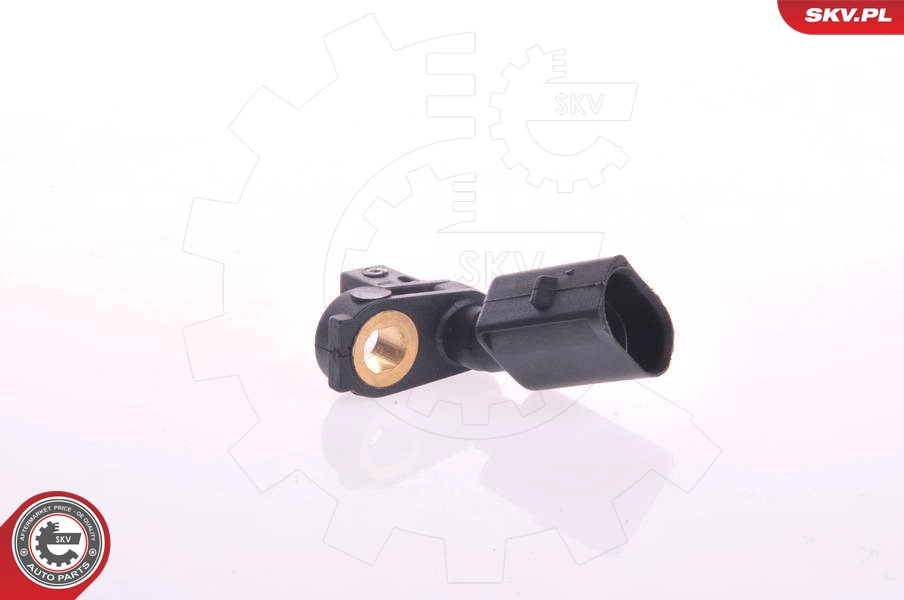 06SKV023
