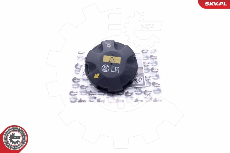 61SKV002