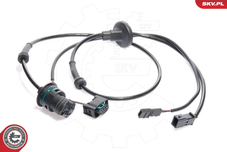 06SKV058