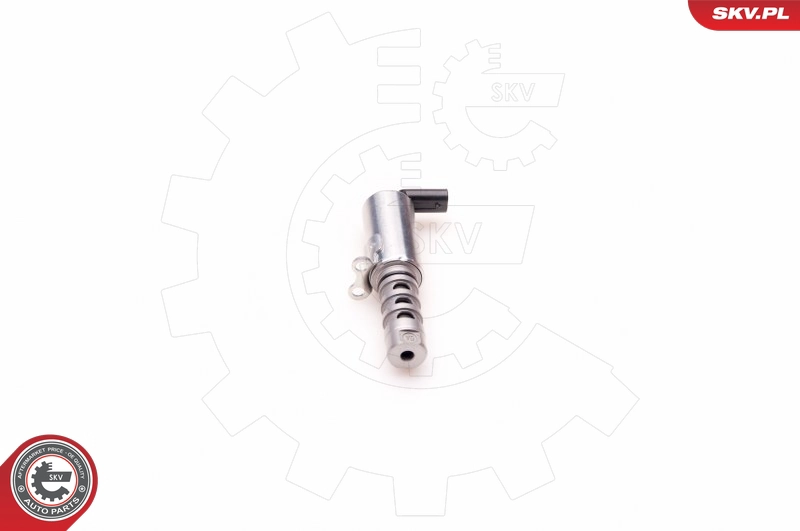 39SKV011