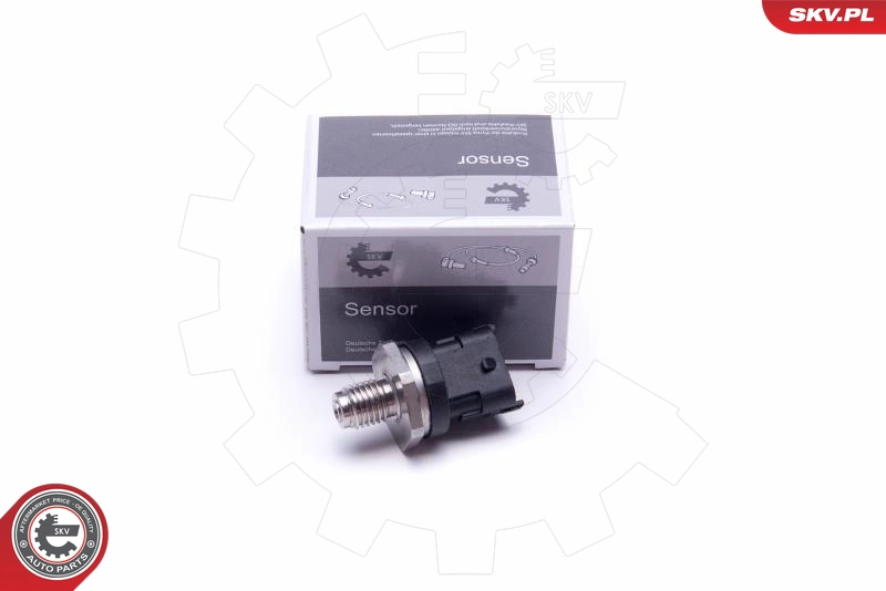 17SKV618