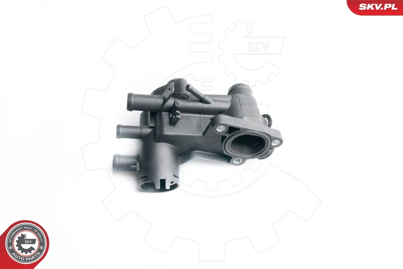 20SKV019