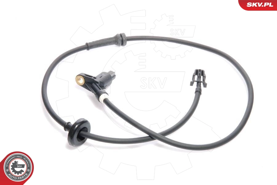 06SKV074