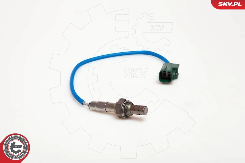 09SKV056