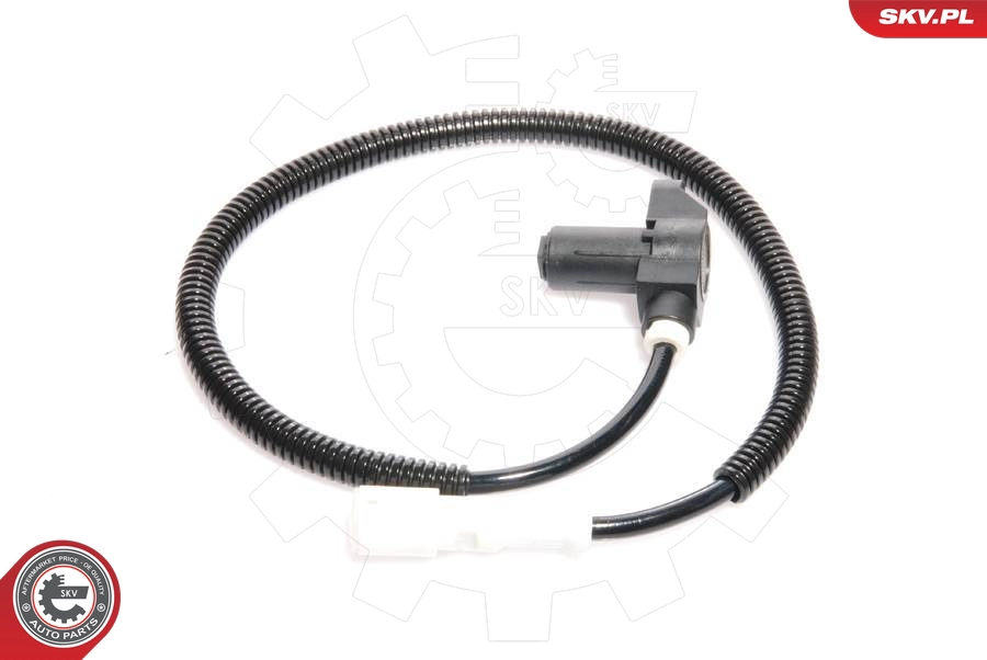 06SKV043