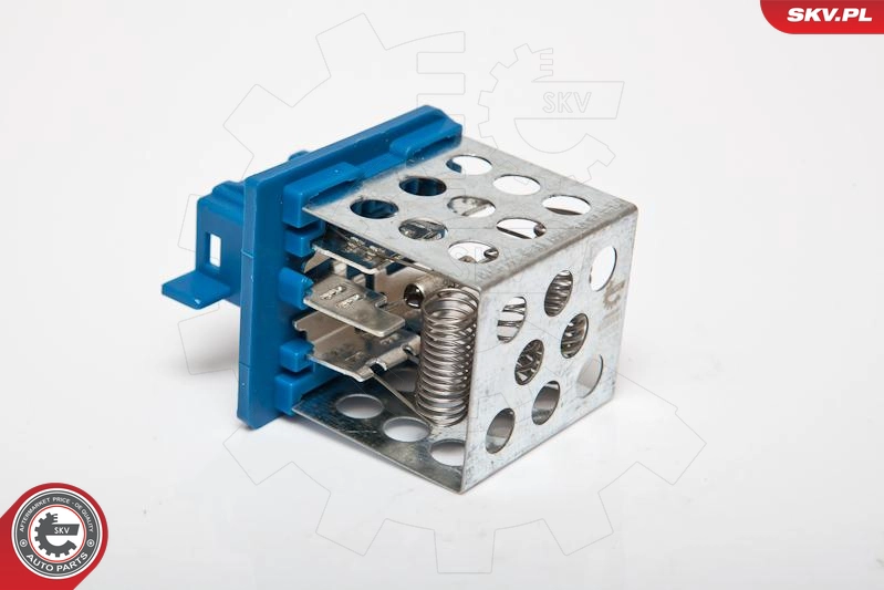 95SKV061