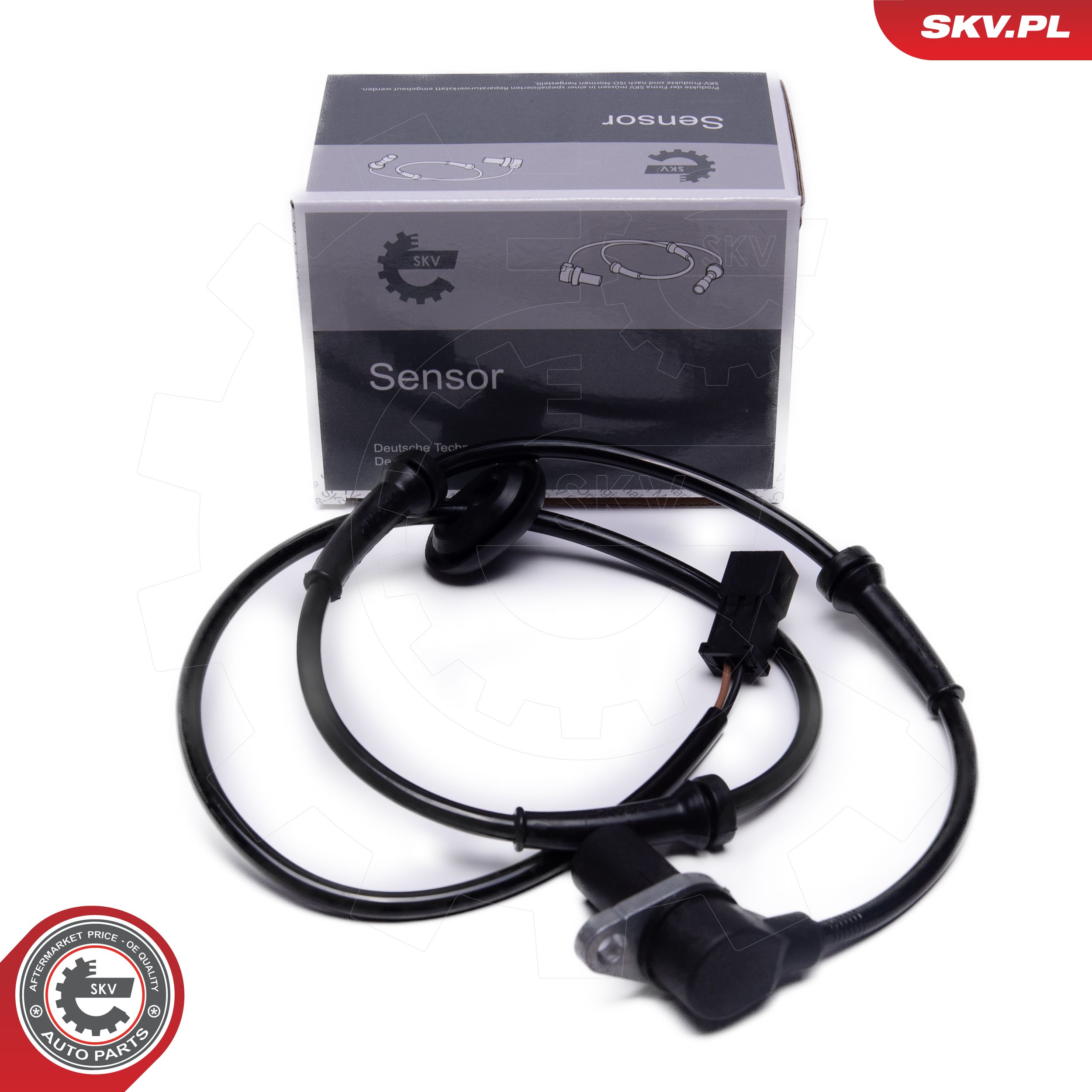 06SKV419