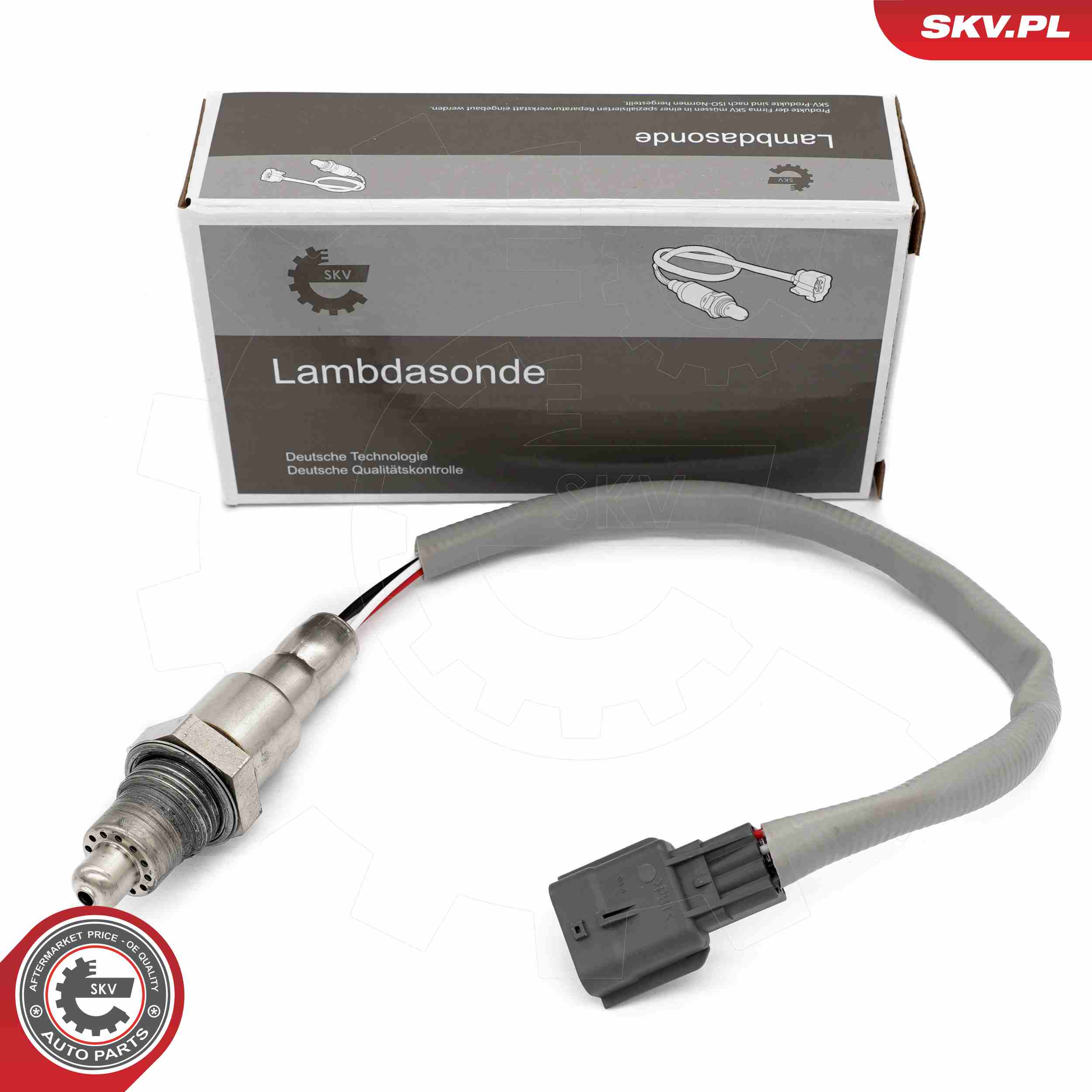 09SKV166
