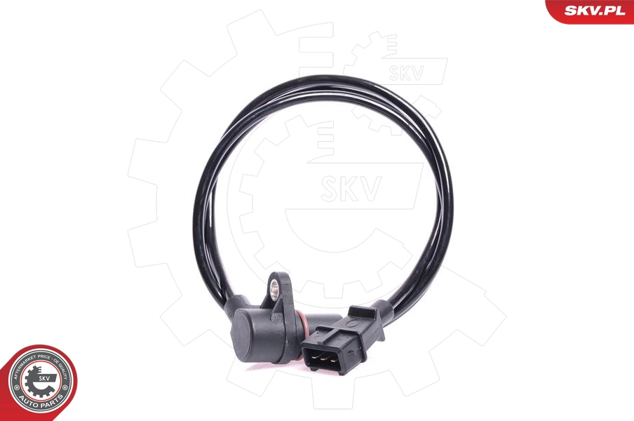 17SKV225