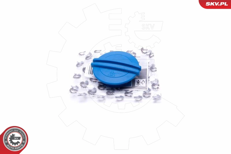 61SKV010