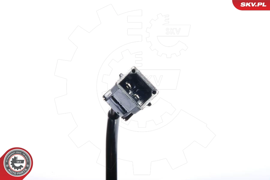06SKV075