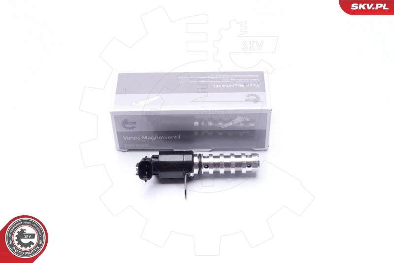 39SKV020