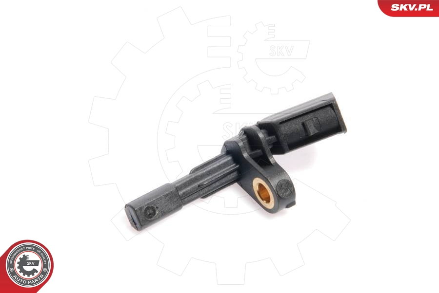 06SKV021