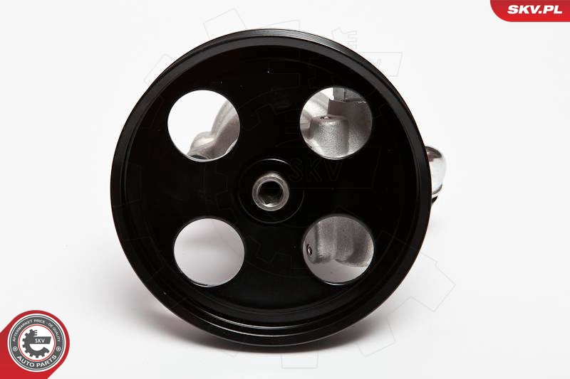 10SKV002