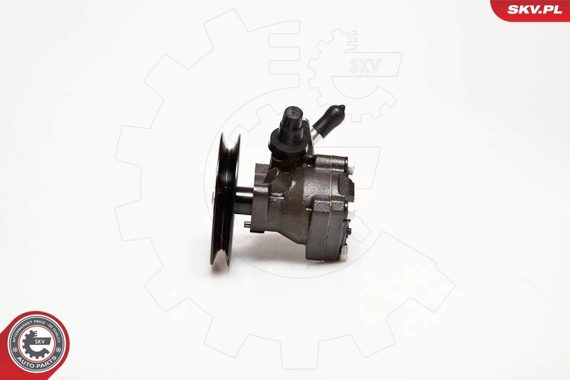 10SKV093
